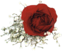 MD-5smtn.gif (7634 bytes)