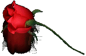 RedRedRose.gif (6975 bytes)