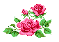 prettyroses1.gif (829 bytes)