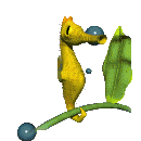 seahorse_hangon_lg_clr.gif (22990 bytes)